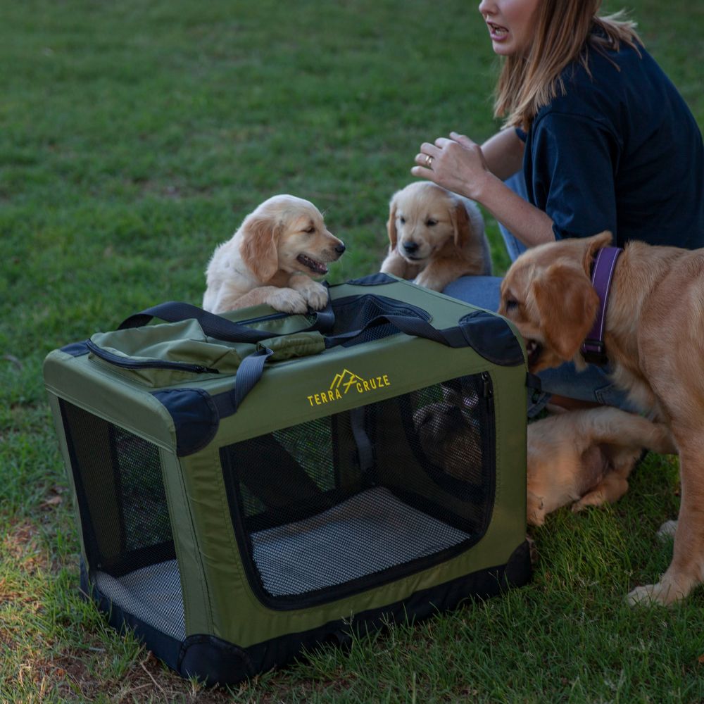 Terra Cruze PetPod