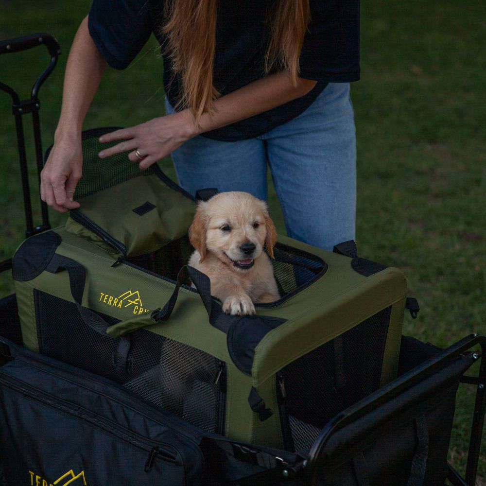Terra Cruze PetPod